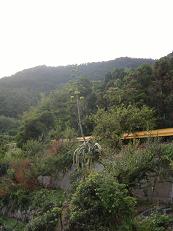 img20050728.jpg