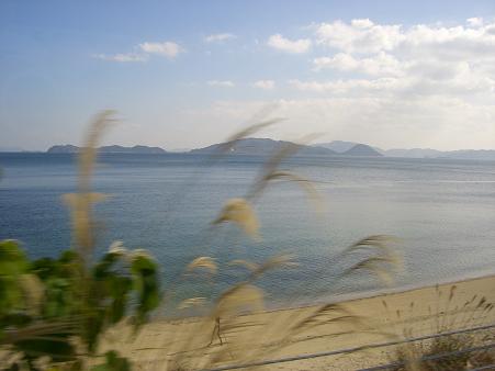 img20071118.jpg