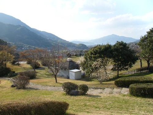 平成25年3月25日撮影 056