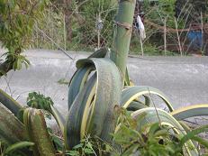 img20050728_1.jpg