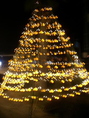 img20081103_1.jpg