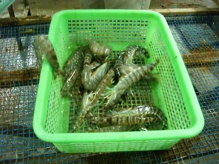 img20071122.jpg