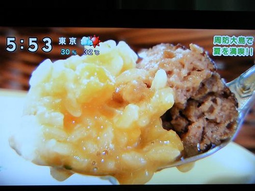 テレビを撮影 054