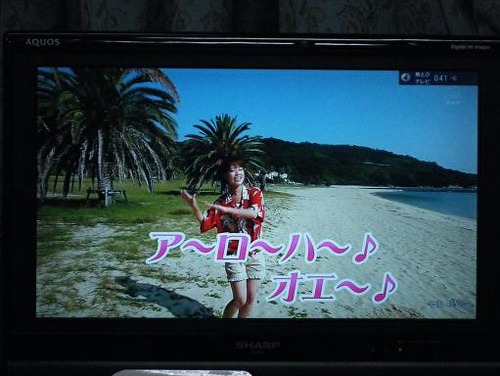 テレビ 039