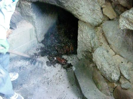 img20080626_3.jpg