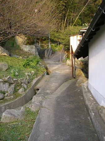 img20080415_2.jpg