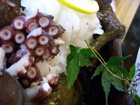img20080404_1.jpg