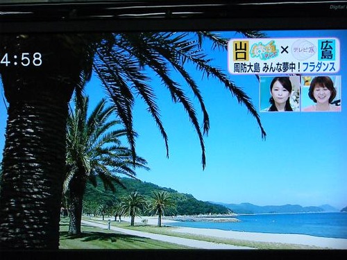 テレビを撮影 030