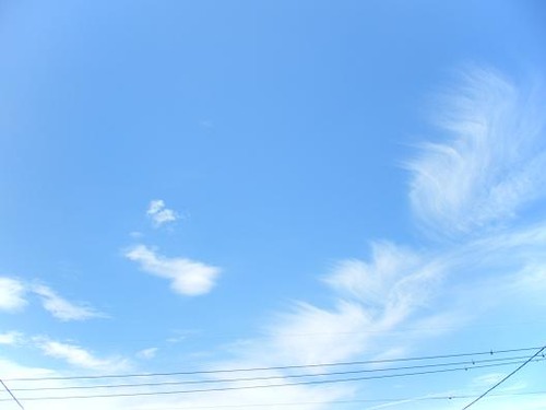 6月25日撮影 001