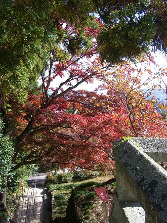 img20071119_3.jpg