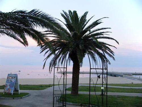 平成２３年8月27日撮影 033