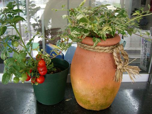 img20060723_2.jpg