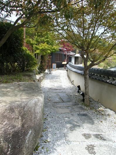 ４月21日撮影 024