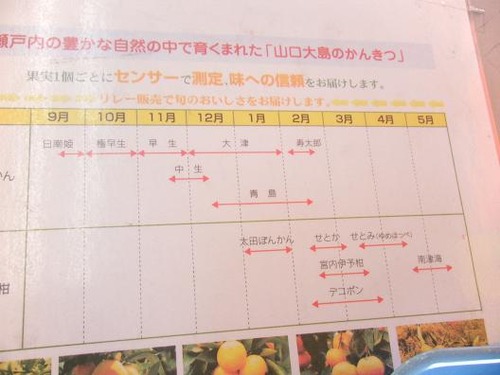 撮影平成25年2月22日 120