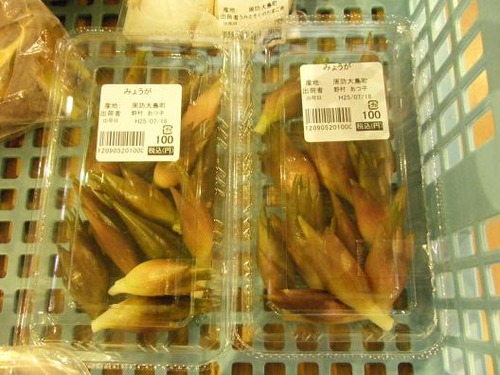 平成25年7月18日撮影 006