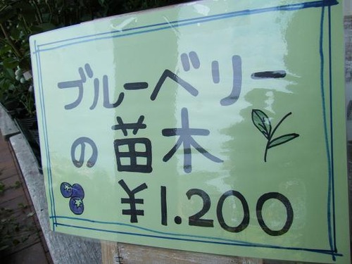 平成25年6月24日撮影 007