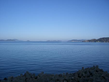 img20080316_2.jpg