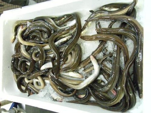 平成２4年4月27日撮影 001