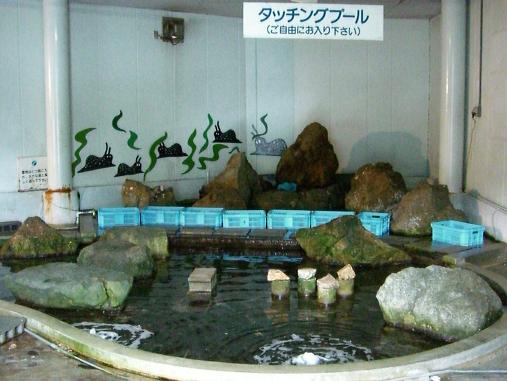 img20091126_7.jpg