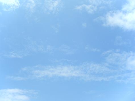 img20090530.jpg