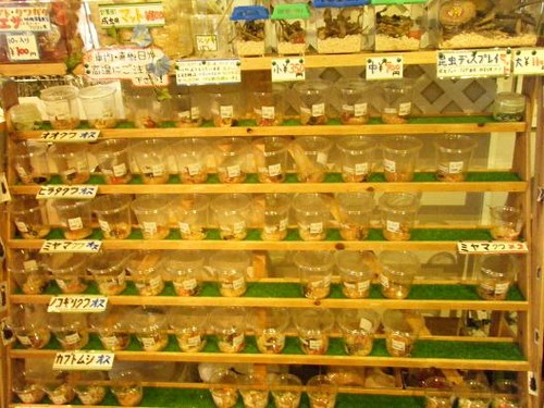 平成25年7月18日撮影 011