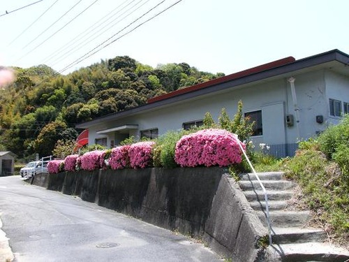平成25年4月21日撮影 054