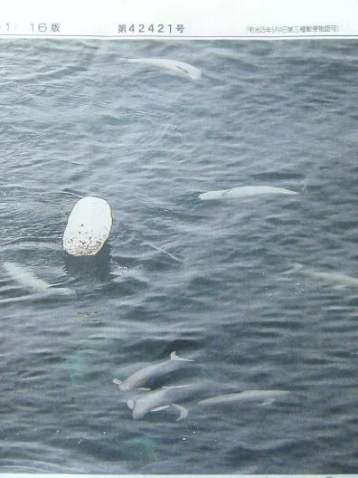 平成２４年６月１4日撮影 002