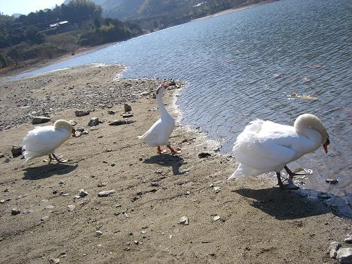 img20070220_5.jpg