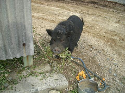 img20061222.jpg