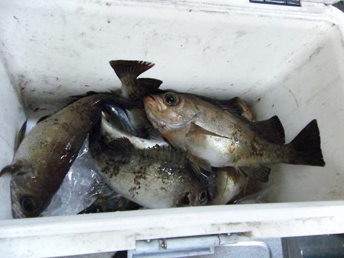 平成２4年3月21日 022