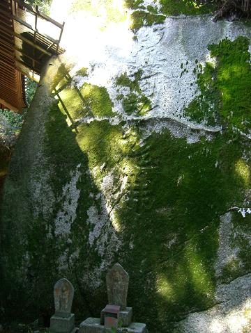 img20090530_5.jpg