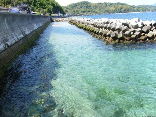平成25年4月21日撮影 041