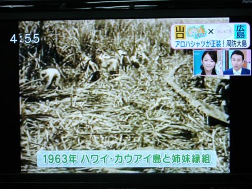 テレビを撮影 011