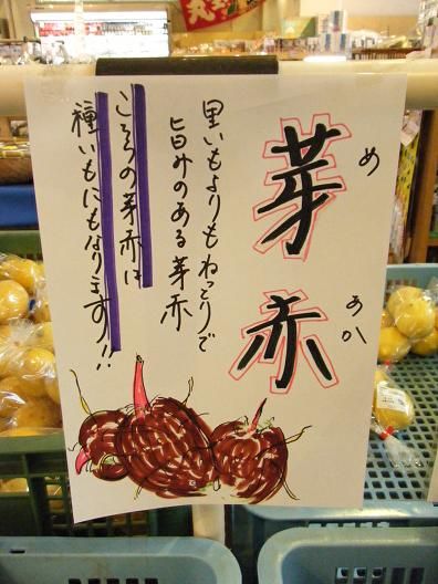 平成25年3月28日撮影 014