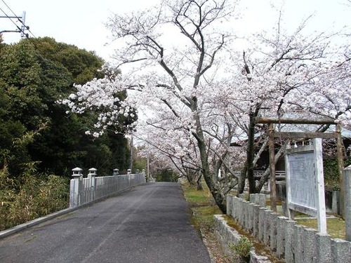 平成25年3月22日撮影 047