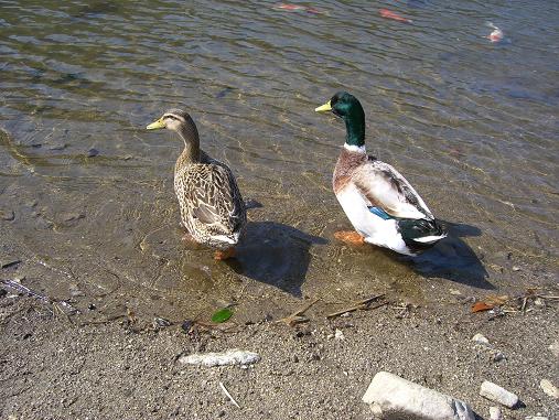 img20070220_3.jpg