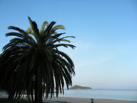 img20090526_3.jpg