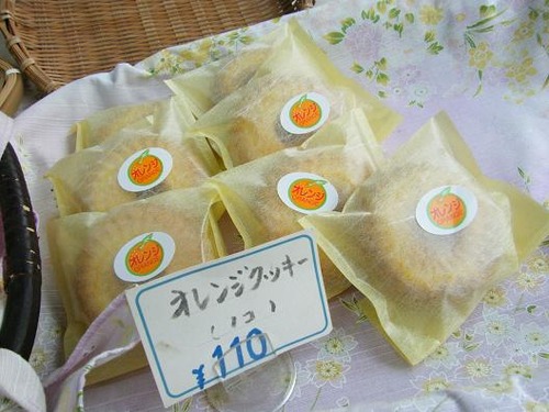 平成２４年５月25日 023