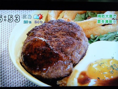 テレビを撮影 051