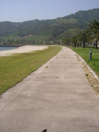 img20080527_2.jpg