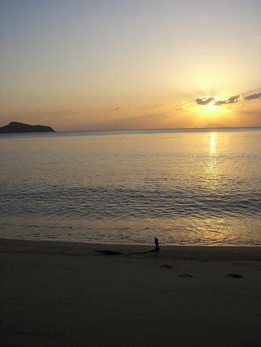 img20070216_2.jpg