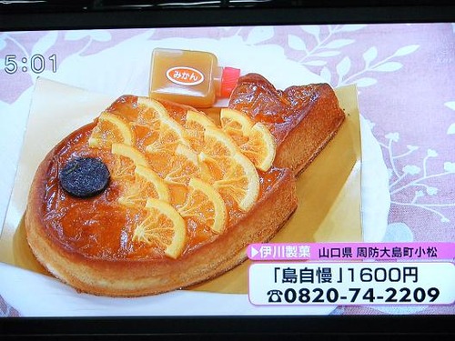 テレビを撮影 040