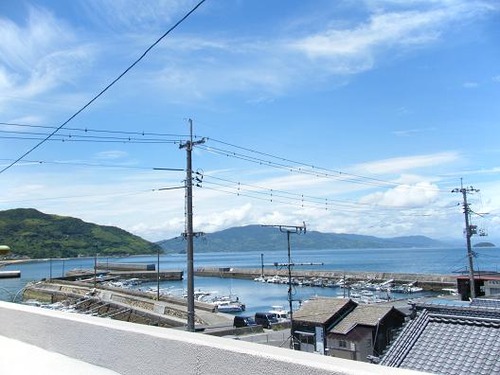6月25日撮影 002