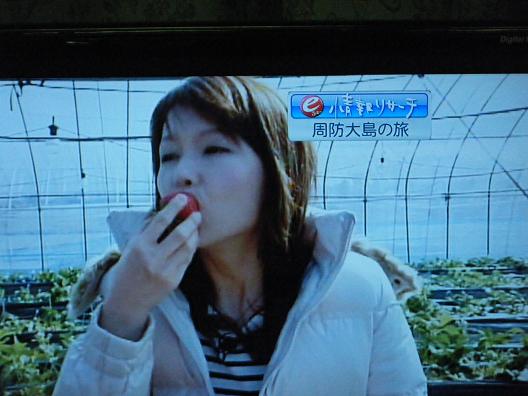 img20100208_11.jpg