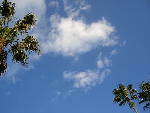 img20070404_1.jpg