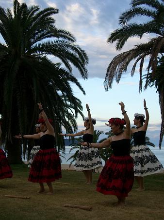 img20080730_2.jpg