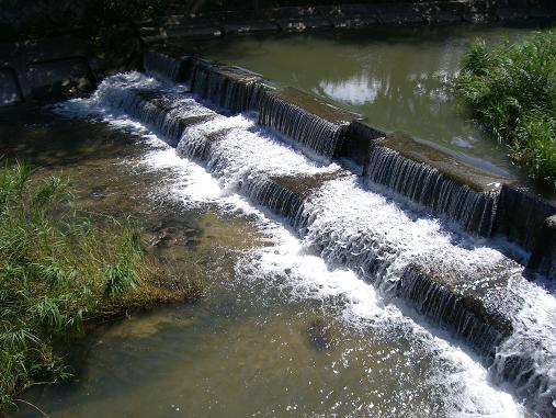 img20060729_2.jpg