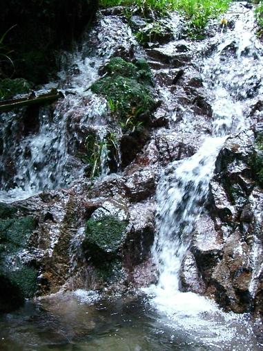 img20080701_4.jpg