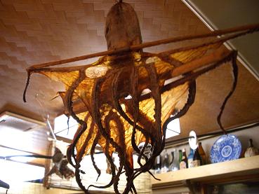 img20080812_5.jpg