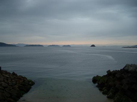 img20060323_3.jpg